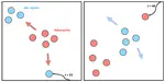 FlickerFusion: Intra-trajectory Domain Generalizing Multi-Agent RL